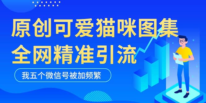 黑科技纯原创可爱猫咪图片，全网精准引流，实操5个VX号被加频繁