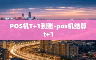 重庆POS机T+1到账-pos机结算t+1
