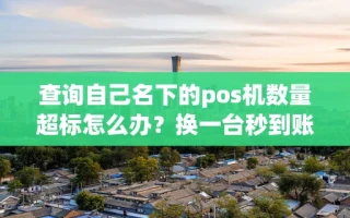 海口市查询自己名下的pos机数量超标怎么办？换一台秒到账的省心机器就够了