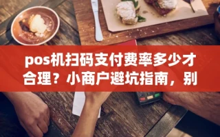 海口市pos机扫码支付费率多少才合理？小商户避坑指南，别多花一分冤枉钱