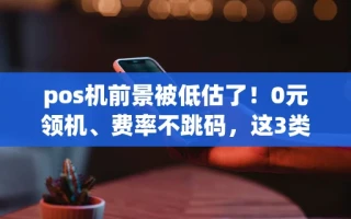 海口市pos机前景被低估了！0元领机、费率不跳码，这3类人最该入局