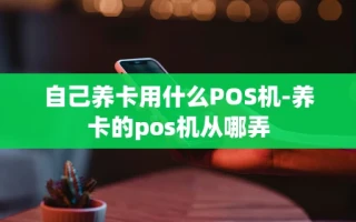 重庆自己养卡用什么POS机-养卡的pos机从哪弄