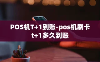 重庆POS机T+1到账-pos机刷卡t+1多久到账