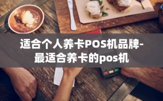 重庆适合个人养卡POS机品牌-最适合养卡的pos机