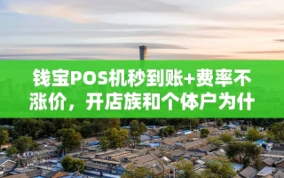 海口市钱宝POS机秒到账+费率不涨价，开店族和个体户为什么都在换它