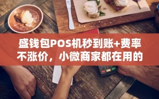 海口市盛钱包POS机秒到账+费率不涨价，小微商家都在用的收款方案