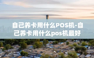 重庆自己养卡用什么POS机-自己养卡用什么pos机最好