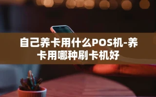 重庆自己养卡用什么POS机-养卡用哪种刷卡机好