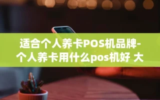 重庆适合个人养卡POS机品牌-个人养卡用什么pos机好 大的小的