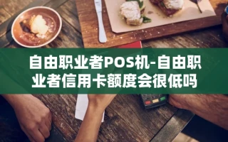 重庆自由职业者POS机-自由职业者信用卡额度会很低吗