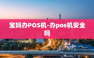 重庆宝妈办POS机-办pos机安全吗
