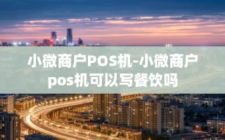 重庆小微商户POS机-小微商户pos机可以写餐饮吗