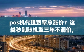 海口市pos机代理费率总涨价？这类秒到账机型三年不调价，小白也能干