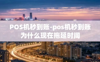 重庆POS机秒到账-pos机秒到账为什么现在拖延时间