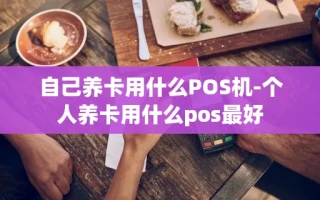 重庆自己养卡用什么POS机-个人养卡用什么pos最好