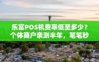 海口市乐富POS机费率低至多少？个体商户亲测半年，笔笔秒到账真实体验