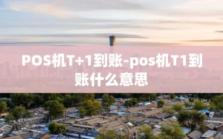 重庆POS机T+1到账-pos机T1到账什么意思