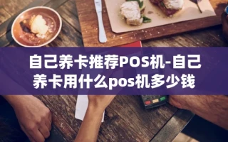 重庆自己养卡推荐POS机-自己养卡用什么pos机多少钱