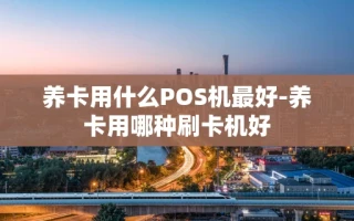 海口市养卡用什么POS机最好-养卡用哪种刷卡机好