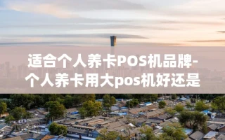 重庆适合个人养卡POS机品牌-个人养卡用大pos机好还是小pos机好