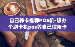 重庆自己养卡推荐POS机-想办个刷卡机pos养自己信用卡哪个好