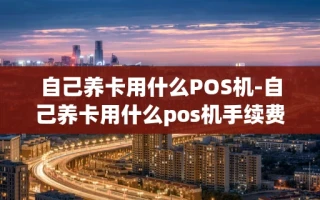 重庆自己养卡用什么POS机-自己养卡用什么pos机手续费