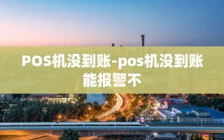 重庆POS机没到账-pos机没到账能报警不