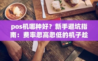海口市pos机哪种好？新手避坑指南：费率忽高忽低的机子趁早换掉