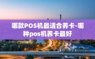 重庆哪款POS机最适合养卡-哪种pos机养卡最好