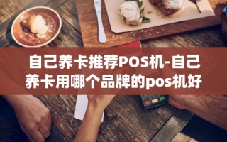 重庆自己养卡推荐POS机-自己养卡用哪个品牌的pos机好