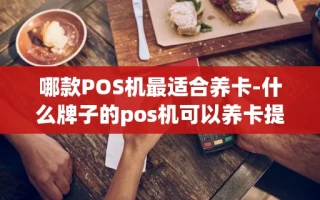 重庆哪款POS机最适合养卡-什么牌子的pos机可以养卡提额