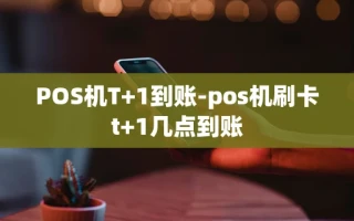 重庆POS机T+1到账-pos机刷卡t+1几点到账