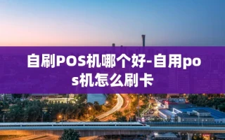 重庆自刷POS机哪个好-自用pos机怎么刷卡