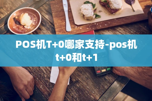 重庆POS机T+0哪家支持-pos机t+0和t+1-第1张图片-点点富足