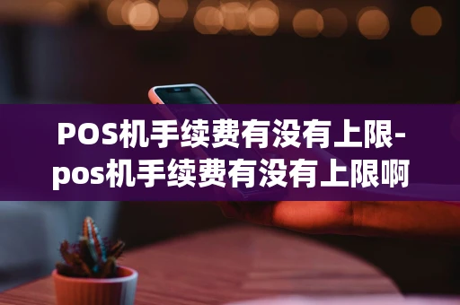 重庆POS机手续费有没有上限-pos机手续费有没有上限啊-第1张图片-点点富足