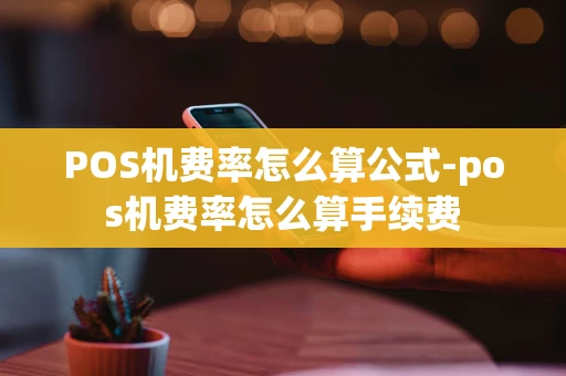 重庆POS机费率怎么算公式-pos机费率怎么算手续费-第1张图片-点点富足 重庆POS机费率怎么算公式-pos机费率怎么算手续费-第1张图片-点点富足