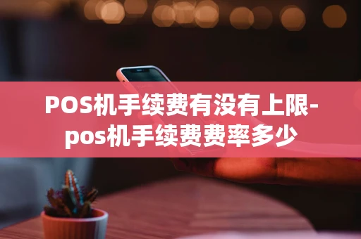 重庆POS机手续费有没有上限-pos机手续费费率多少-第1张图片-点点富足
