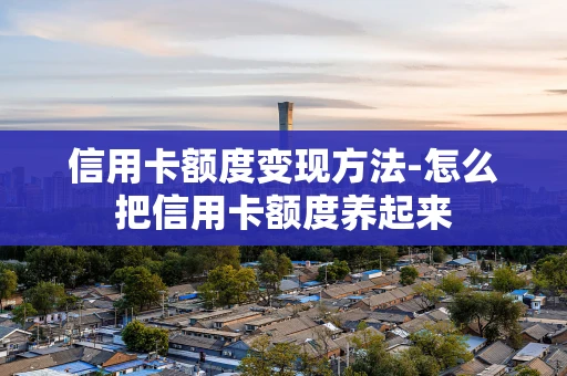 重庆信用卡额度变现方法-怎么把信用卡额度养起来-第1张图片-点点富足