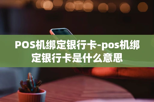 海口市POS机绑定银行卡-pos机绑定银行卡是什么意思-第1张图片-点点富足