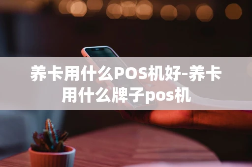 重庆养卡用什么POS机好-养卡用什么牌子pos机-第1张图片-点点富足