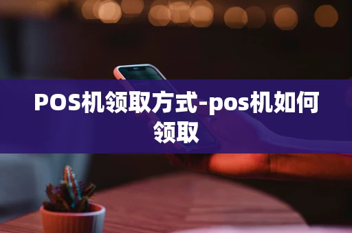 重庆POS机领取方式-pos机如何领取-第1张图片-点点富足