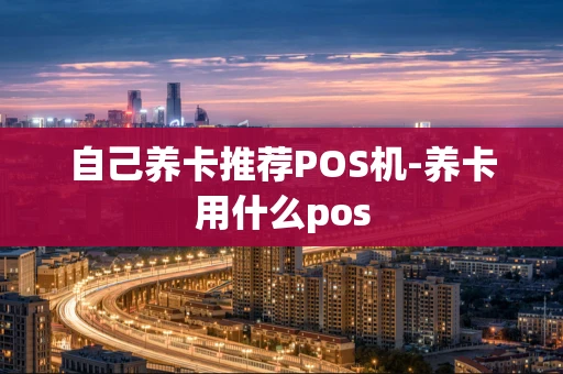 重庆自己养卡推荐POS机-养卡用什么pos-第1张图片-点点富足 重庆自己养卡推荐POS机-养卡用什么pos-第1张图片-点点富足