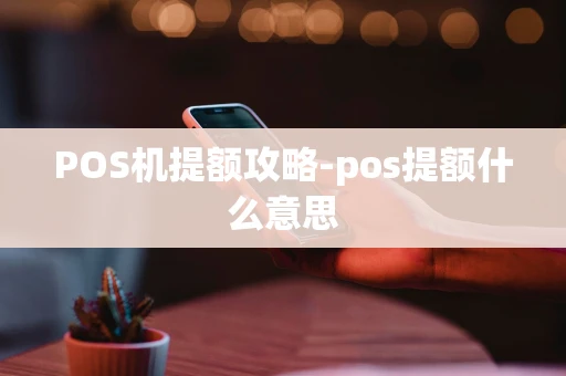 重庆POS机提额攻略-pos提额什么意思-第1张图片-点点富足 重庆POS机提额攻略-pos提额什么意思-第1张图片-点点富足