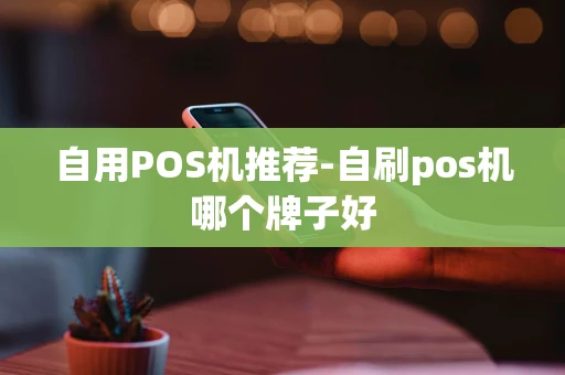 重庆自用POS机推荐-自刷pos机哪个牌子好-第1张图片-点点富足