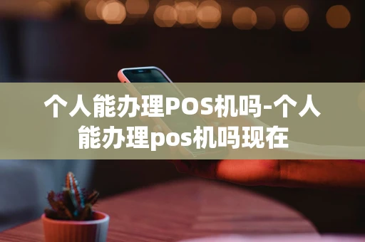 江汉区个人能办理POS机吗-个人能办理pos机吗现在-第1张图片-点点富足