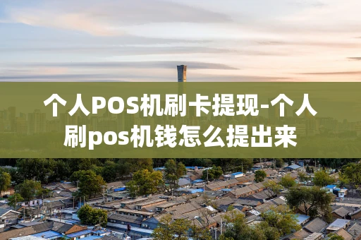 重庆个人POS机刷卡提现-个人刷pos机钱怎么提出来-第1张图片-点点富足 重庆个人POS机刷卡提现-个人刷pos机钱怎么提出来-第1张图片-点点富足