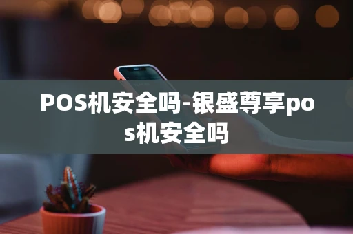 重庆POS机安全吗-银盛尊享pos机安全吗-第1张图片-点点富足