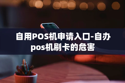 重庆自用POS机申请入口-自办pos机刷卡的危害-第1张图片-点点富足