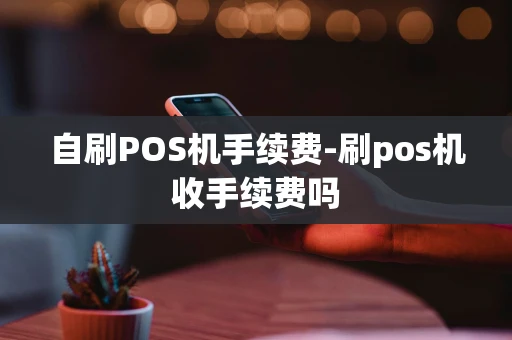重庆自刷POS机手续费-刷pos机收手续费吗-第1张图片-点点富足