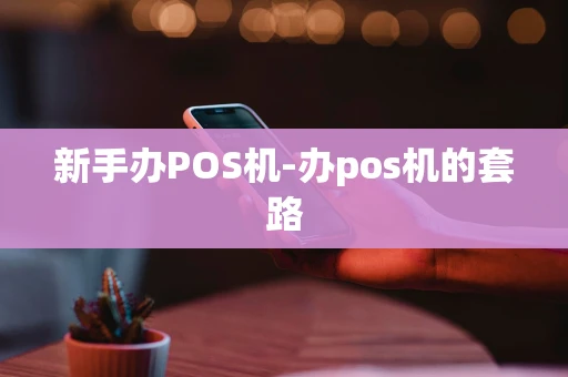 重庆新手办POS机-办pos机的套路-第1张图片-点点富足 重庆新手办POS机-办pos机的套路-第1张图片-点点富足